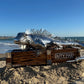 Iguana Sculpture