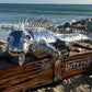 Iguana Sculpture