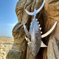 Tuna Wall Sculpture