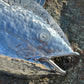 Tuna Wall Sculpture